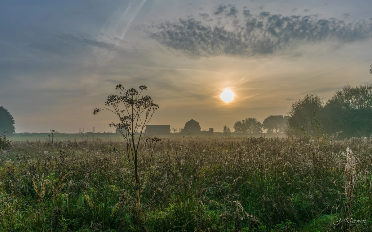 Fog — A misty morning at the Rottemeren