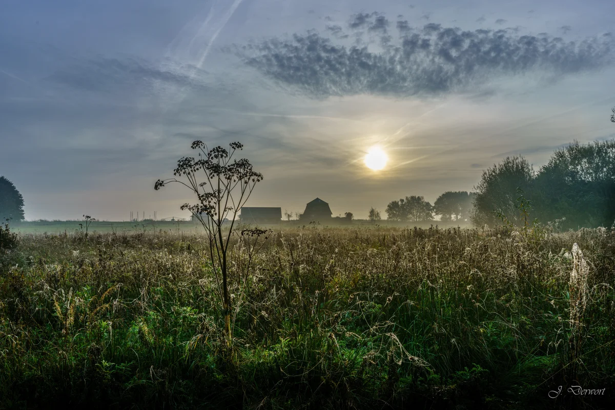 Fog — A misty morning at the Rottemeren