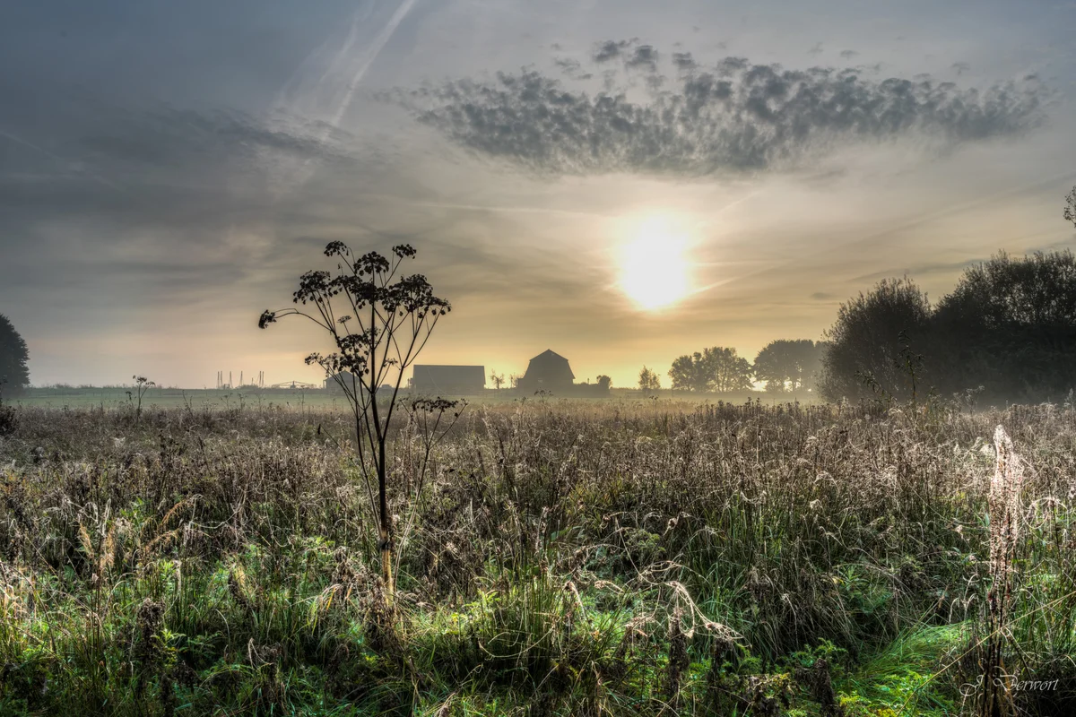 Sun — A misty morning at the Rottemeren