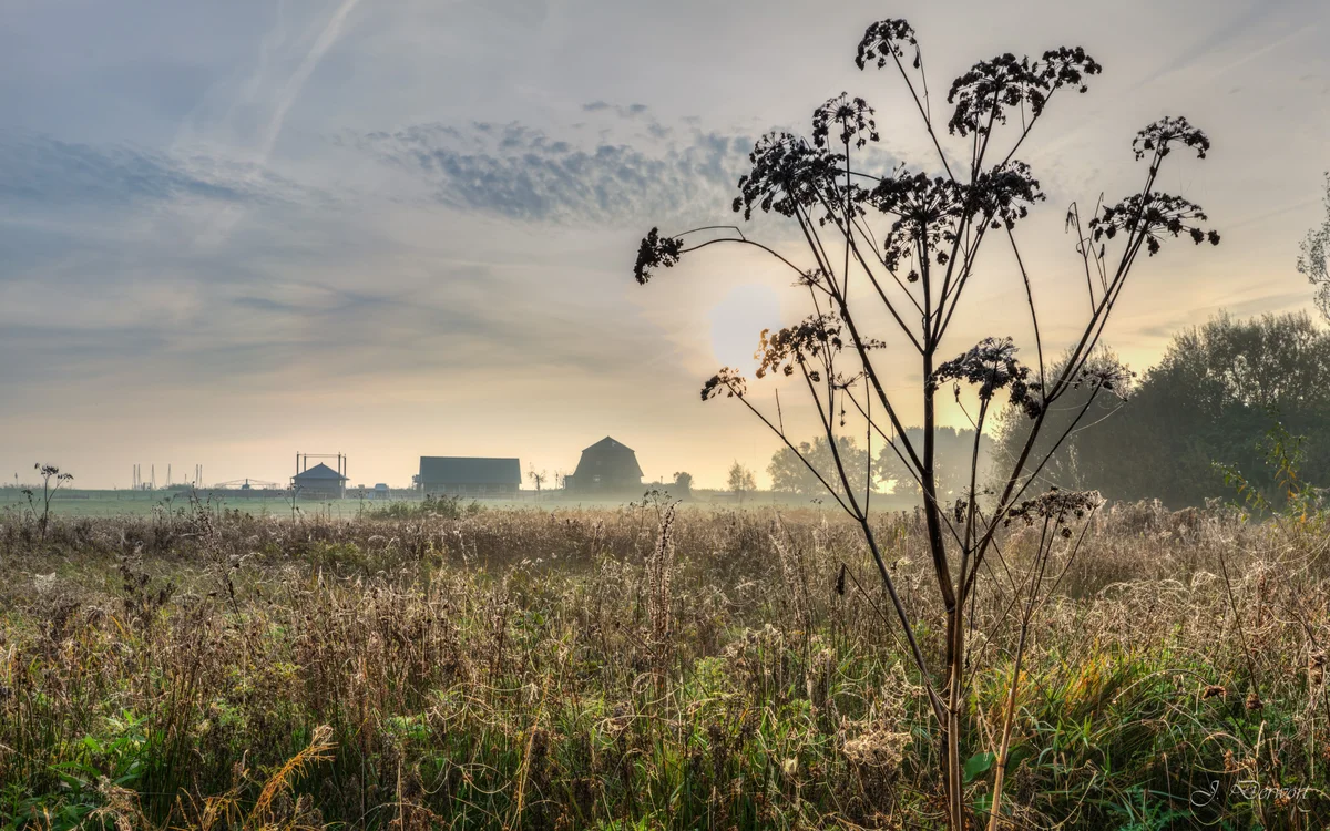 A misty morning at the Rottemeren — A misty morning at the Rottemeren