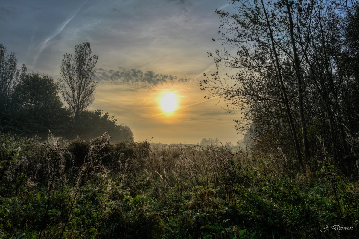 Sun above the fields — A misty morning at the Rottemeren