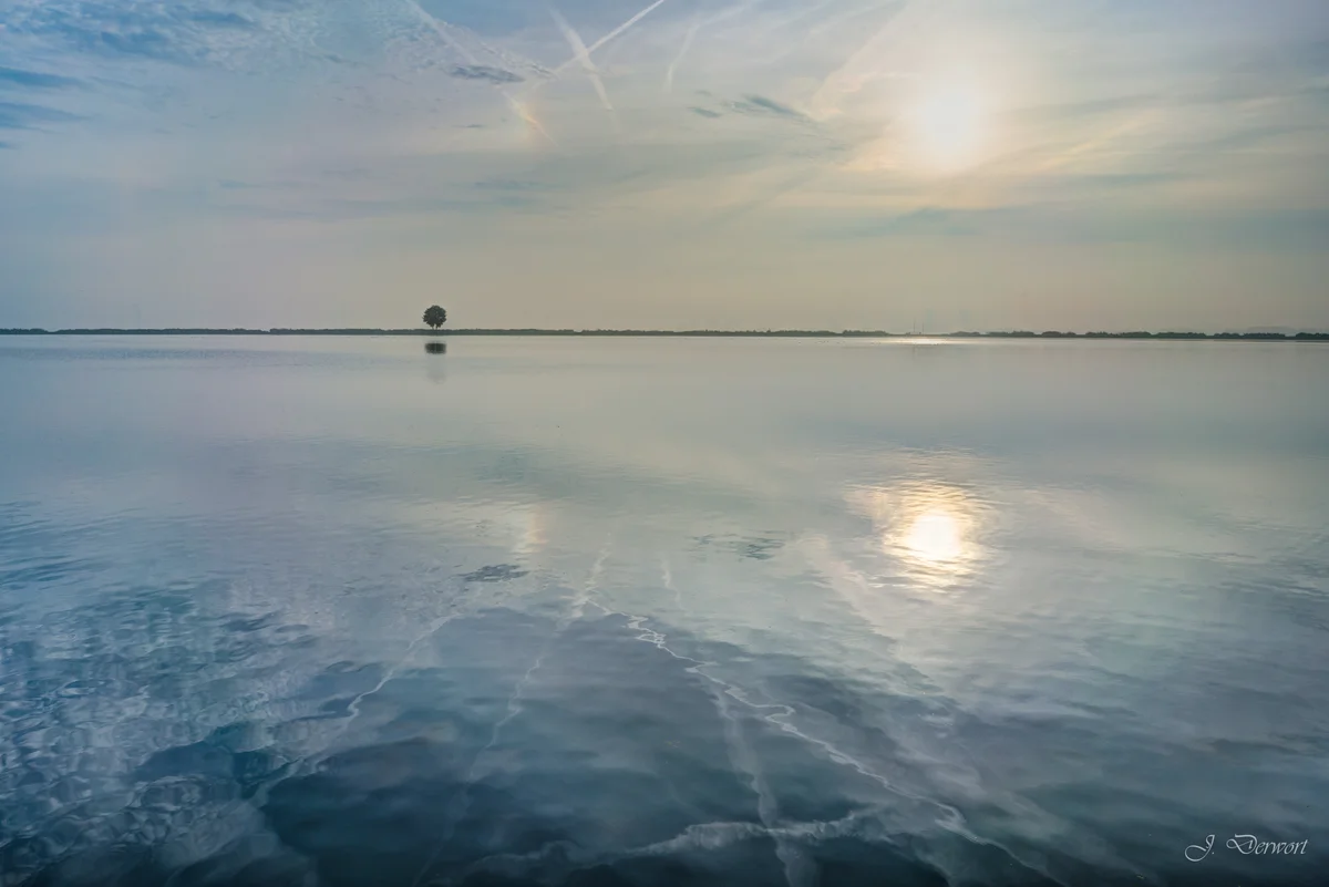 Rottemeren Lake — A misty morning at the Rottemeren