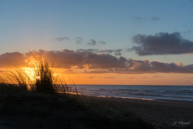 Meijendel Beach: a winter walk at sunset
