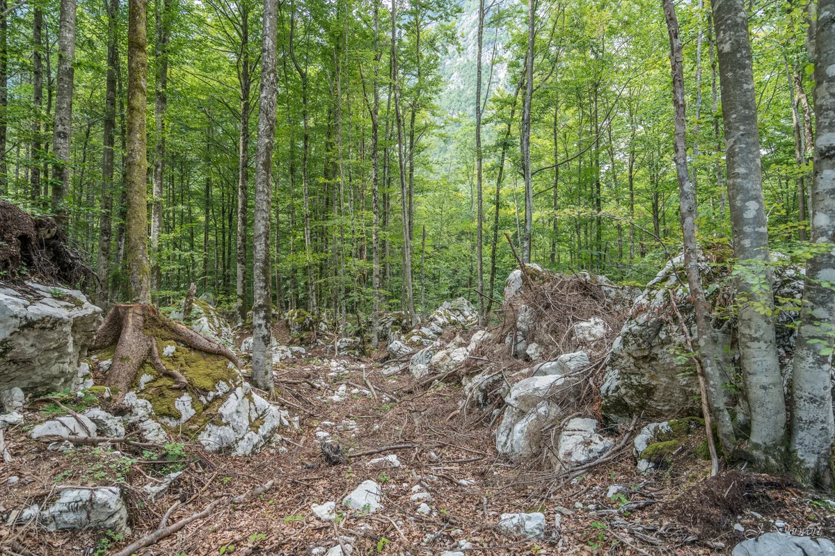 Julian Alps — The Julian Alps