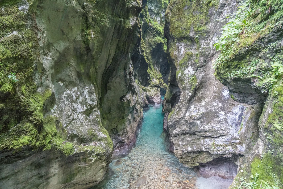 Gorge — Vintgar and Tolmin