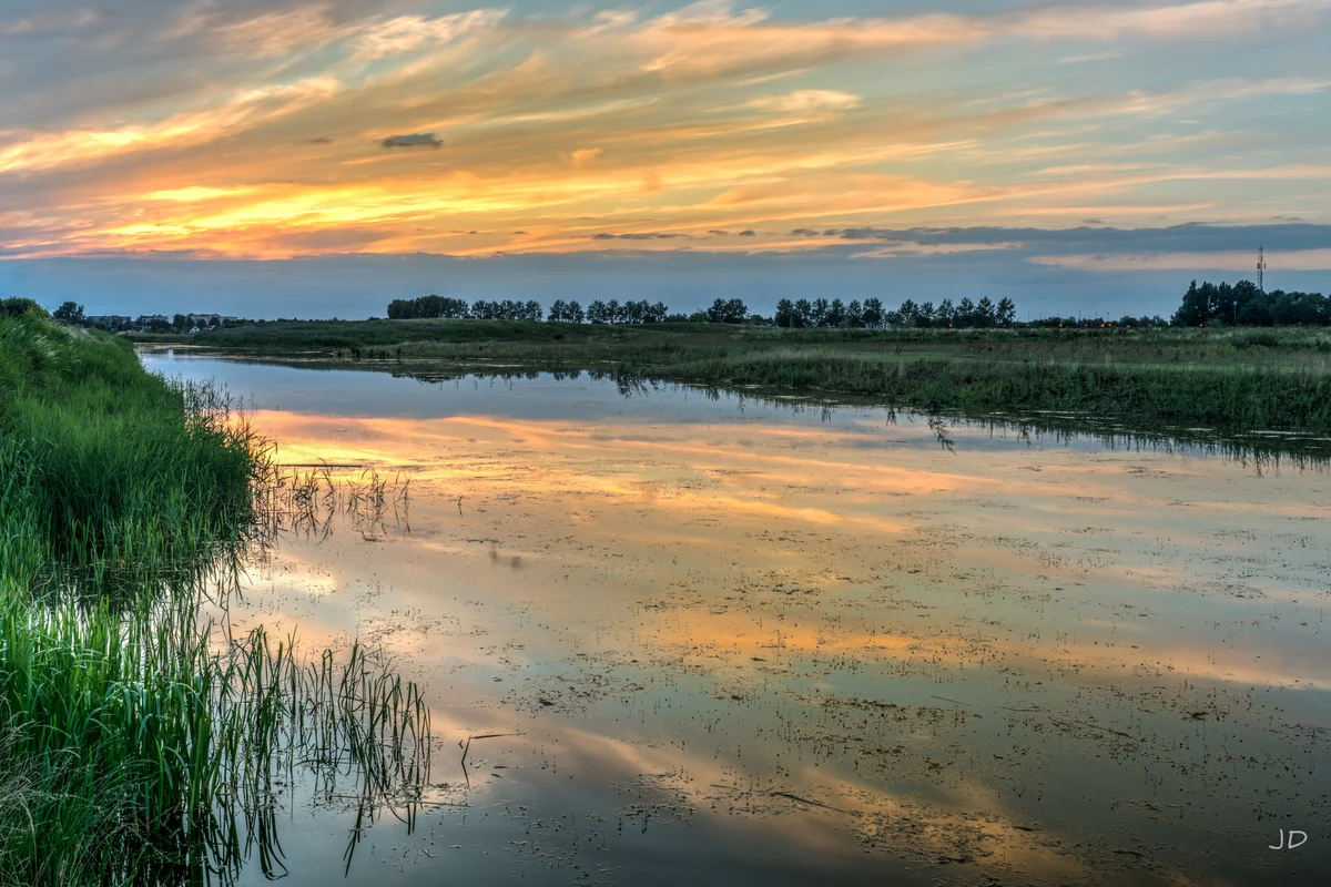Reflections — Zoetermeer