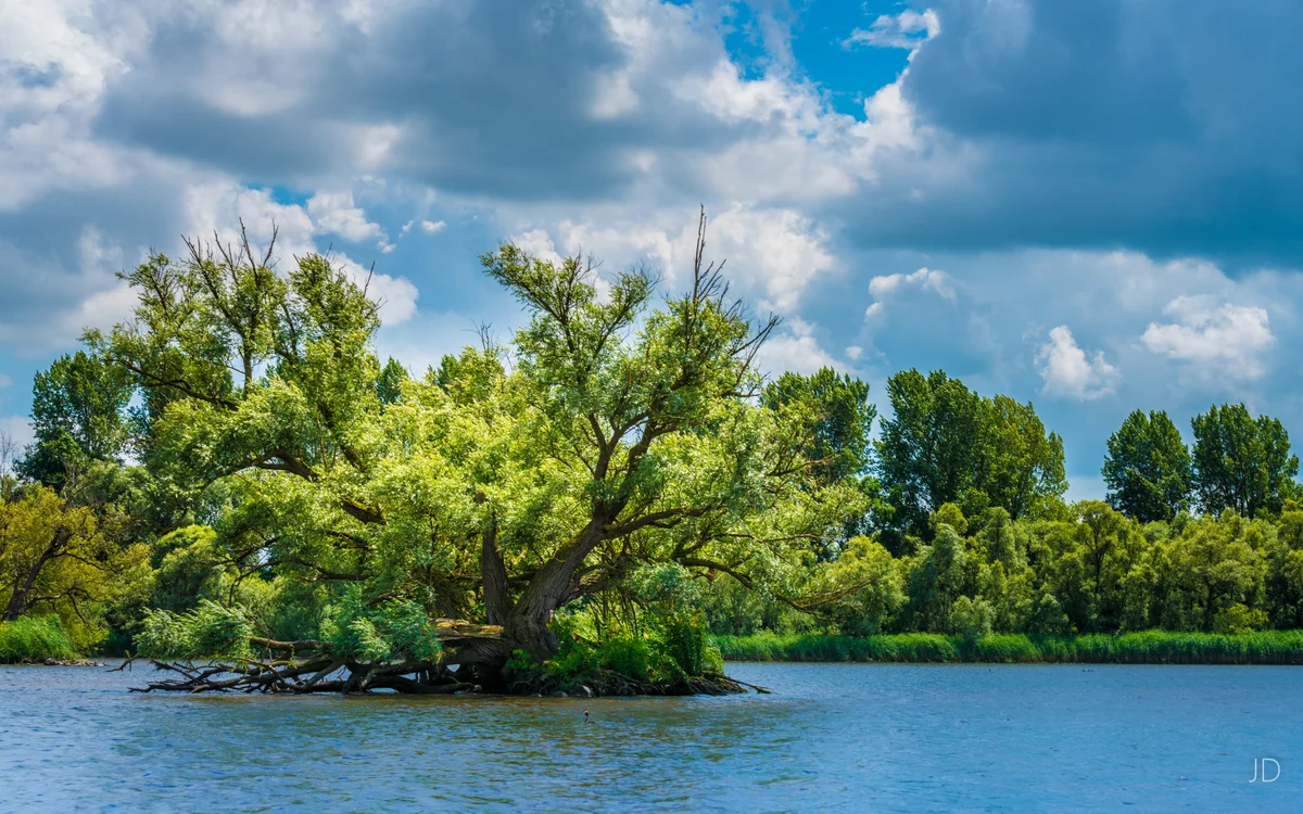 Biesbosch — Dordrecht and the Biesbosch