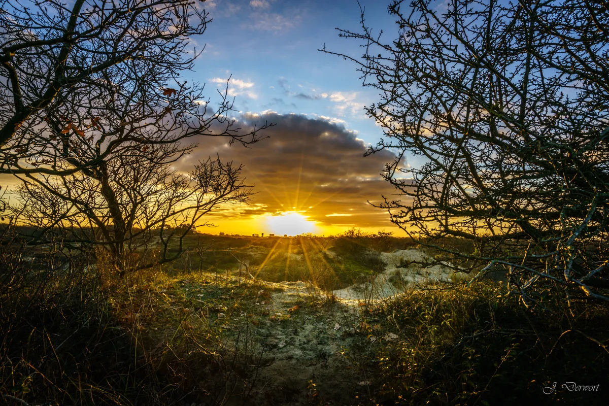 Zonsondergang in Meijendel — Meijendel in winter
