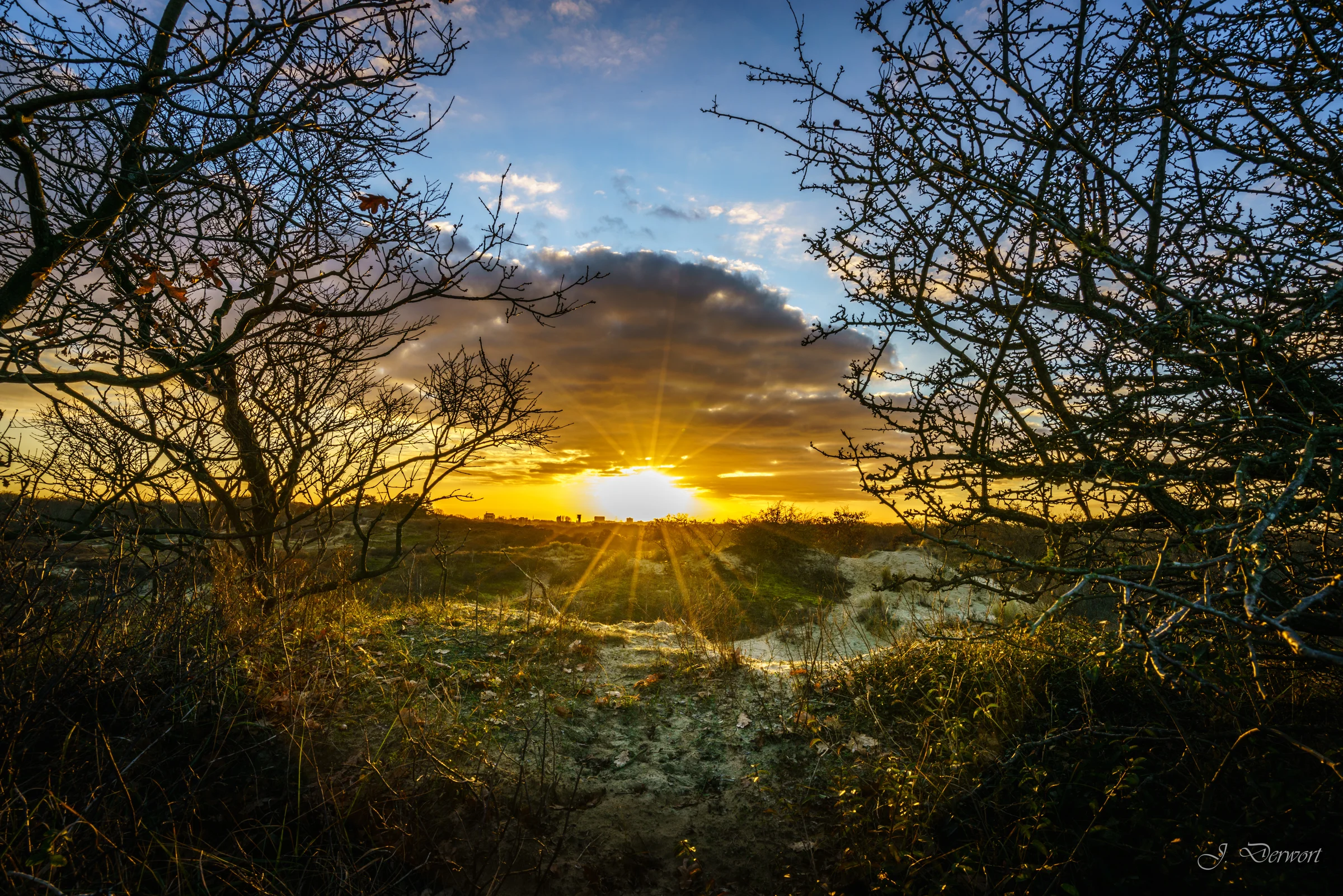 Meijendel in winter: dunes in the last light