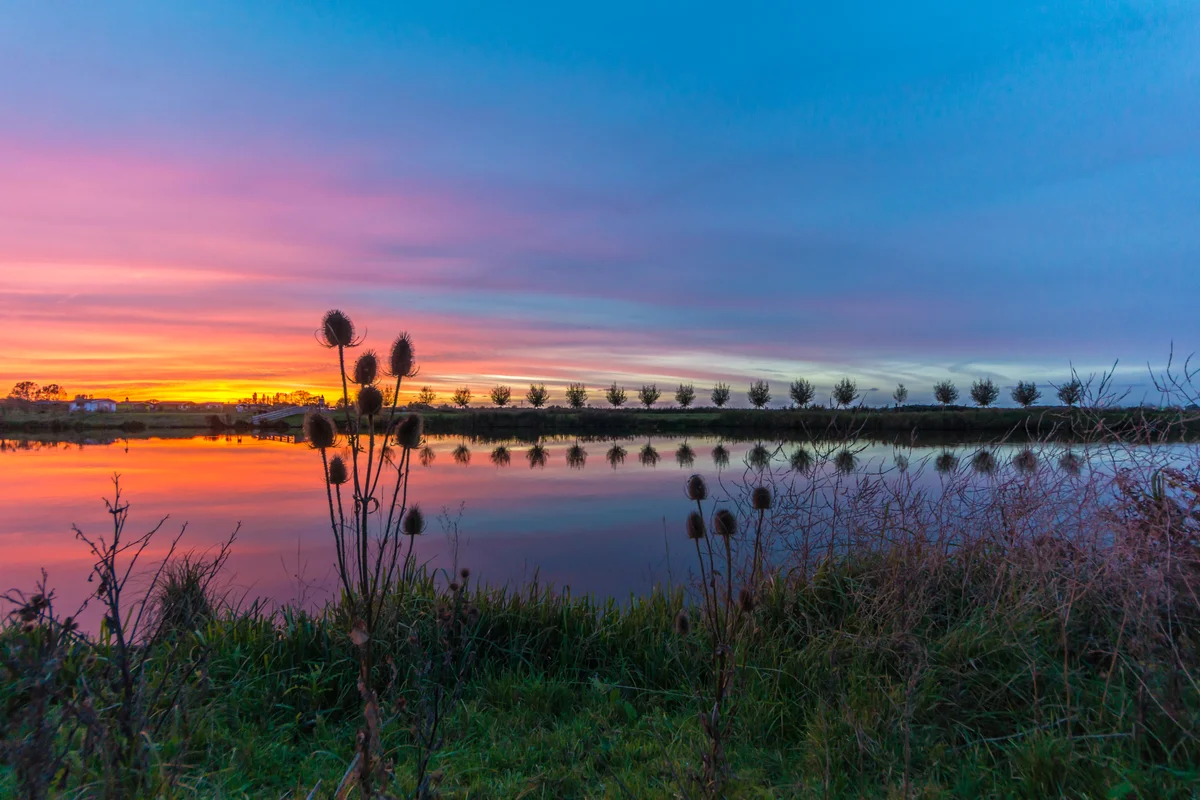 Buytenpark — Zoetermeer
