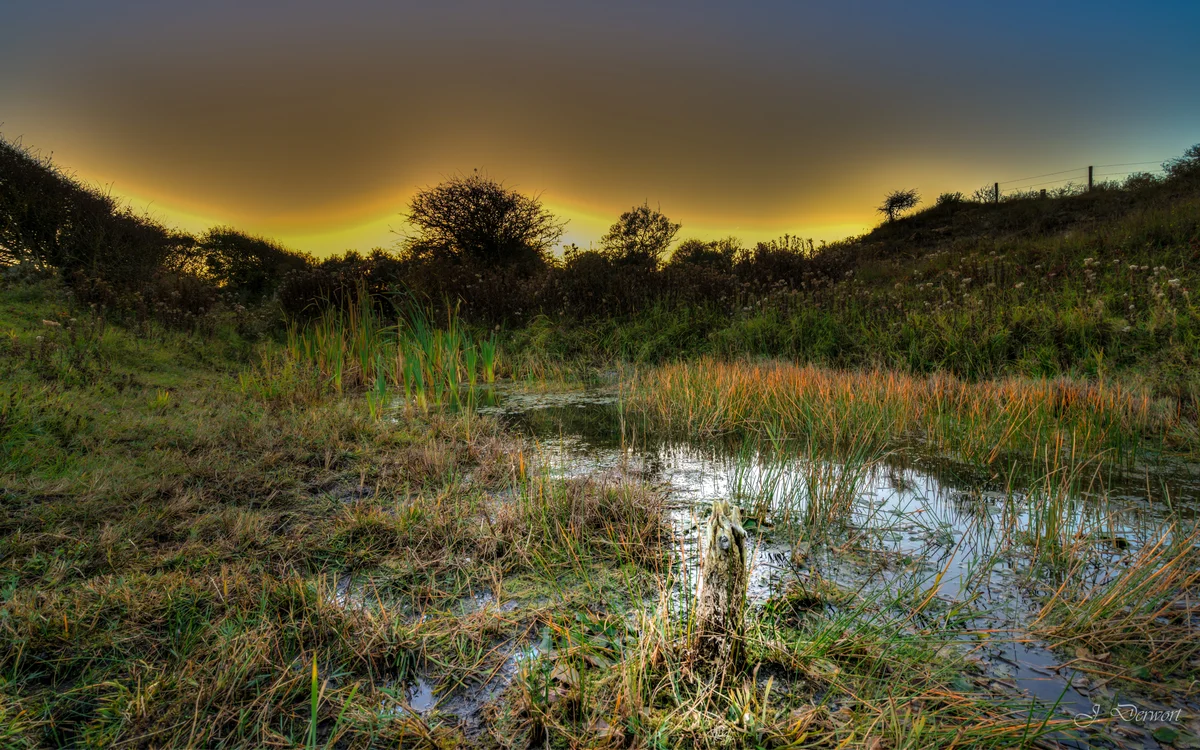 Meijendel near The Hague — Meijendel near The Hague